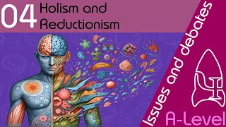 Holism and reductionism  Issues and debates ALevel Psychology [upl. by Anilok]