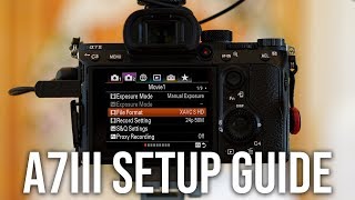 Sony a7III  How I Setup for Photos amp Videos  SETUP GUIDE AND MENU SETTINGS [upl. by Eednas710]