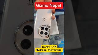 OnePlus 12 Hydrogel Membrane gizmonepal shorts oneplus12 hydrogel hydrogelmembrane [upl. by Ardella]