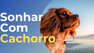 Sonhar Com Cachorro  Significado [upl. by Oesile]