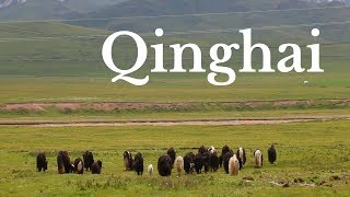 THINGS TO DO IN QINGHAI CHINA  Qinghai Travel Guide  Tibetan Plateau [upl. by Sothena]