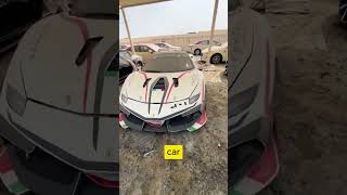 The Shocking Truth About Dubai’s Abandoned Supercars [upl. by Sackman]