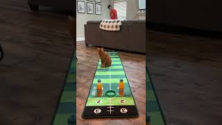 Indoor golf with Kurt brought to you by SUNNYD SUNNYDPartner [upl. by Laureen92]