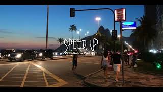 Mc Cabelinho  Zona Sul • Speed Up [upl. by Anayaran]