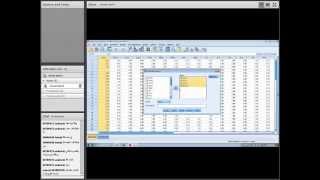 Principles of SPSS Cronbach Alpha [upl. by Mireielle]