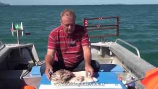 Snapper Longline Fishing Methods [upl. by Arahsit]