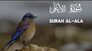 87  Quran  Surah AlAla 10 times  ٱلْأَعْلَىٰ  сура АльАля 10 разquranкоранкуранqurat [upl. by Richarda]