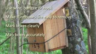 A guide to putting up a dormouse box [upl. by Llegna]