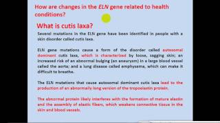 Biochemistry  dr sameeh  Elastin Synthesis amp Diseases [upl. by Norean46]