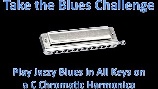 Learn to Play Jazzy Blues Harmonica in All Keys [upl. by Merle793]