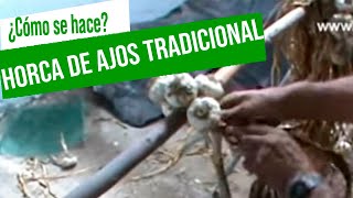 🧄🧄 Elaboración de la horca de ajos artesanal  Vivero Huerta Barbereta huertos [upl. by Nahtam]