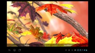 Autumn Tree Live Wallpaper [upl. by Kiehl]