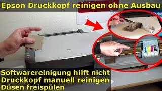 Epson Druckkopf reinigen ohne Ausbau  Ausdruck ist streifig [upl. by Levitt]