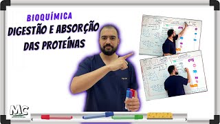 Bioquímica Digestão Absorção das Proteínas [upl. by Nawak]