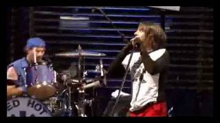 Red Hot Chili peppers Live at Slane Castle Full Concert [upl. by Repard]