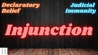 Court 101 Injunction Declaratory Relief and Judicial Immunity [upl. by Razal]