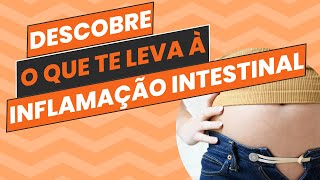 Descobre o que te leva á inflamação intestinal [upl. by Essy]