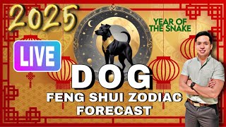 DOG FENG SHUI ZODIAC 2025 FORECAST LIVE [upl. by Maggi671]