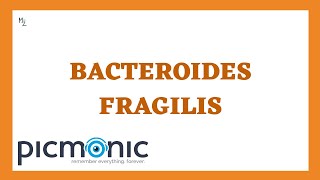 Bacteroides fragilis its Morphology Pathogenesis Lab Dx Treatment ft PicmonicVideoNursing [upl. by Munford]