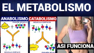 ¿QUÉ ES EL METABOLISMO CATABOLISMO y ANABOLISMO [upl. by Schuster]