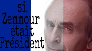 Si Zemmour était président Comment on sappellerait [upl. by Baggs]