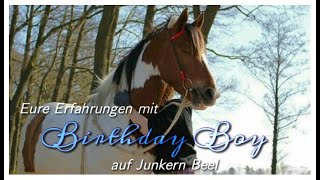 Birthday boy  Junkern BeelZeit 🌹 [upl. by Aretak]