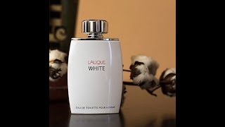 LALIQUE WHITE 2008مراجعة عطر لالــيــك وايـــت الابيض [upl. by Esbensen25]