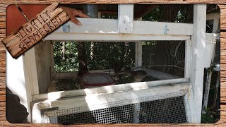 Quail Keeping For Beginners All You Need to Know to Get Started With Coturnix Quail [upl. by Stavro835]