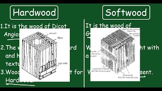 Hardwood vs Softwood Quick Difference and Comparisons [upl. by Chaddy]