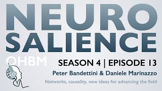 Neurosalience S4E13 with Daniele Marinazzo  Networks causality new ideas to advance the field [upl. by Uon67]