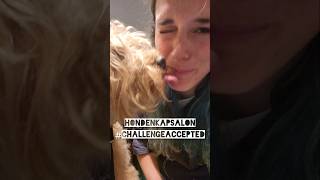 Een makeover voor labradoodle Baloe 🐕 bij Trimsalon Bofkont [upl. by Alyse]