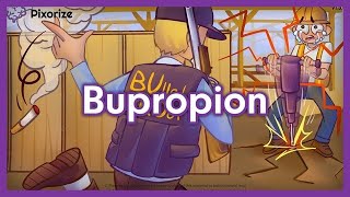 Bupropion Mnemonic Review for Nursing NCLEX  Treat Depression Mechanism of Action [upl. by Vogele120]