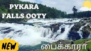 Pykara Falls Ooty  பைக்காரா Falls  Best places to visit in Ooty ooty pykara hillstation [upl. by Tinya]