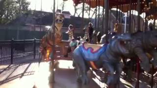 Carousel  Audubon Zoo [upl. by Suollecram719]