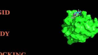 Proteinoligosaccharide HADDOCKing [upl. by Filipe645]