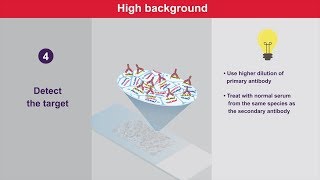 Immunohistochemistry Tips and Tricks for High Background [upl. by Ayarahs730]