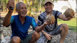 HOW SIBUTU DEHUSKED COCONUT TAWITAWI PHILIPPINES [upl. by Eeimaj]