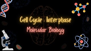 Cell Cycle Interphase  الدورة الخلوية  MOLECULAR BIOLOGY  تعلم بالعربي [upl. by Letreece]