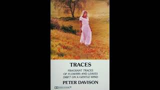 Peter Davison  Traces [upl. by Elurd58]