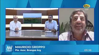 MAURICIO GROPPO  Pte Asoc Brangus Arg [upl. by Frum]