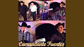 Comandante Fuentes feat Dueto Consentido En vivo [upl. by Lynnworth756]