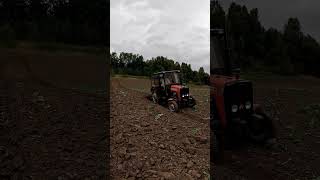 Massey Ferguson 255  Orka [upl. by Oicneconi816]