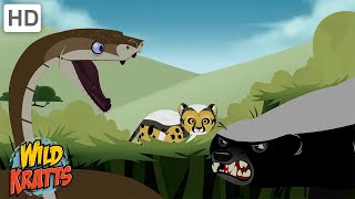 Creature Battles  Every Creature Showdown Part 113 Wild Kratts [upl. by Wait]