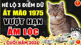 Hé Lộ 3 ĐIỀM DỮ Ất Mão 1975 Biết Trước Ắt Vượt Hạn Ẵm Phước Lộc Cuối Năm 2024 [upl. by Brozak]