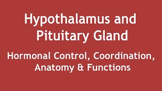 Hypothalamus and Pituitary Gland  Hormonal Control Coordination Anatomy amp Functions ENGLISH [upl. by Albrecht]