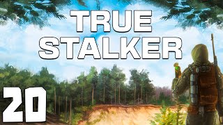 STALKER True Stalker 20 Новошепеличи [upl. by Sylvan]