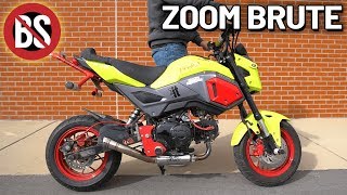 Zoom Brute Exhaust Sound No BS [upl. by Namhcan]