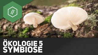 Symbiose – Ökologie 5 [upl. by Rickey]