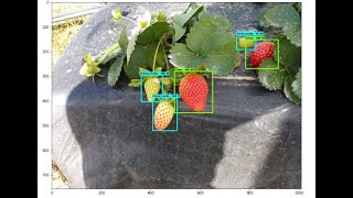 Instalar labelimg WINDOWS✅Entorno virtual pythonDetección de objetos con tensorflow 2 OD api2020 [upl. by Lauryn527]