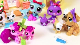 LPS Mommies Series Mommy and Baby Littlest Pet Shop HAUL Opening toy review REUPLOAD [upl. by Cynara]